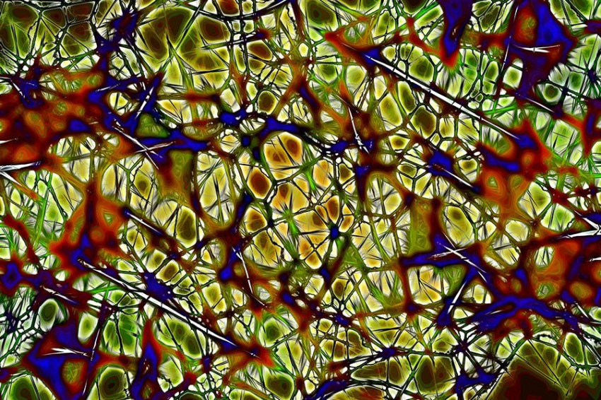 Исследования на мышах показали, что лишение сна изменяет связи в мозге