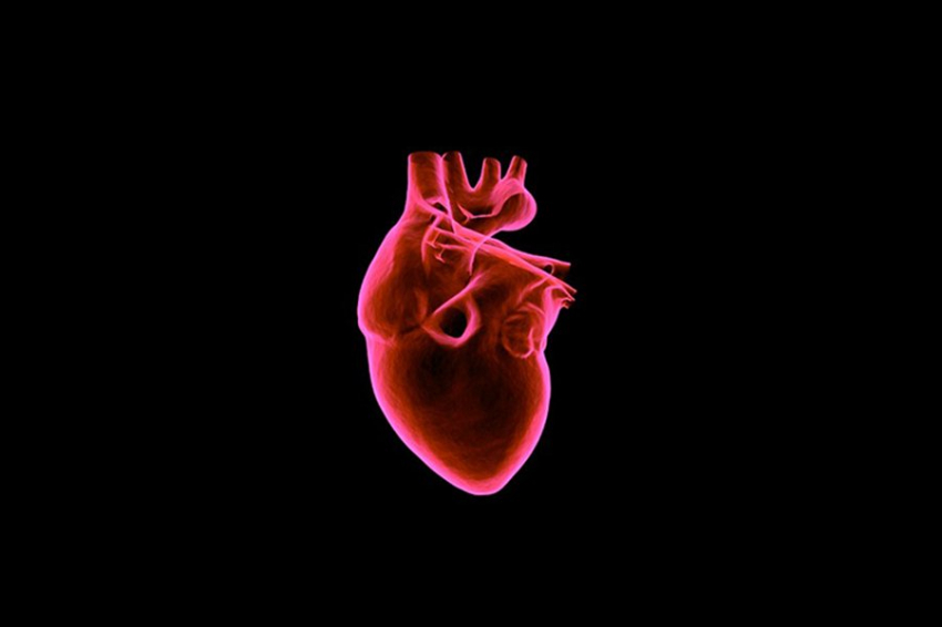 Кардиолог рассказала об опасной болезни, поражающей сердечную мышцу