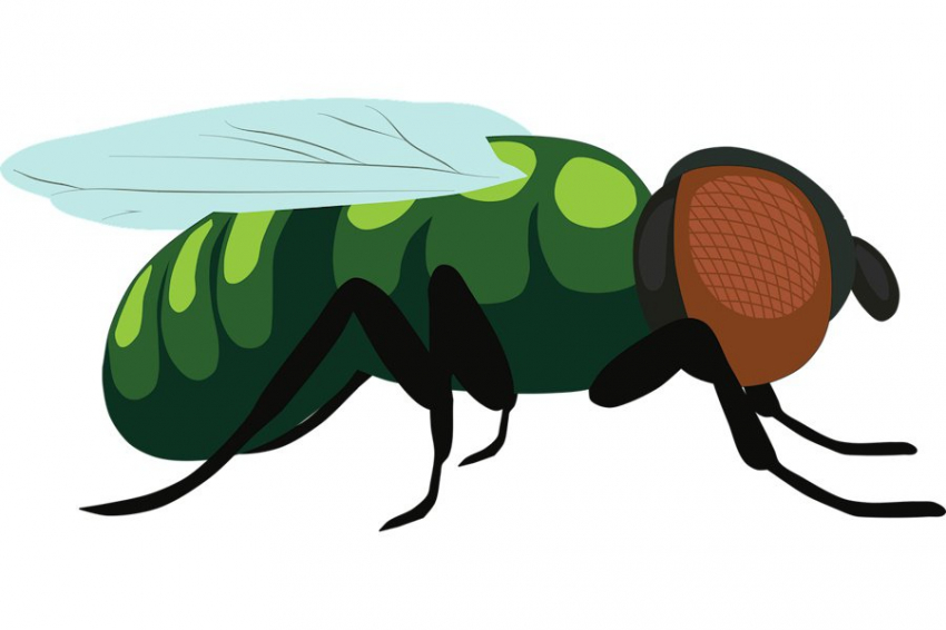 SA: выявлен способ образования трехмерных живых тканей из плоских формы