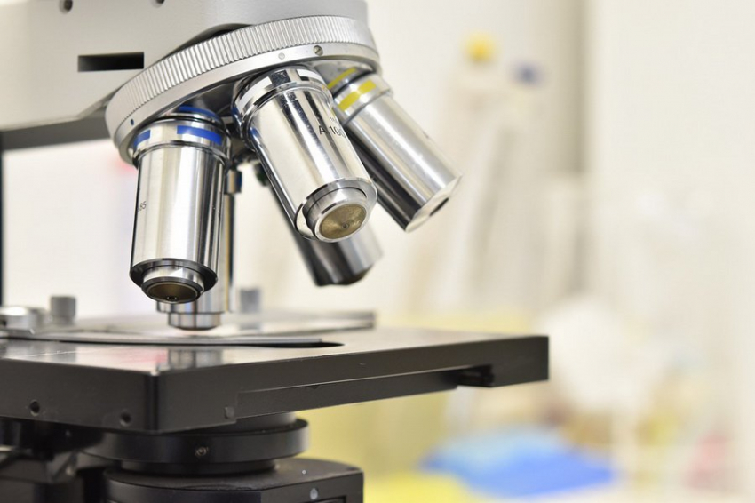 Исследователи обнаружили новый источник белков, связанных с болезнью Альцгеймера