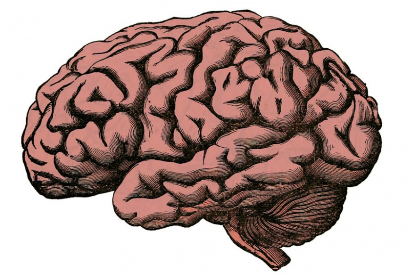 NEJM: мозговой имплант вернул речь больному БАС