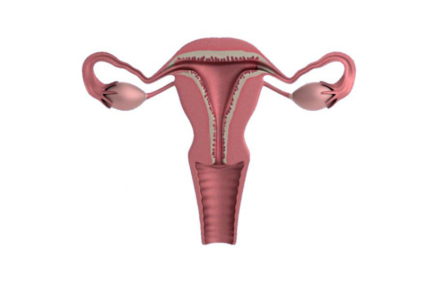 Рак яичников: симптомы, на которые стоит обратить внимание