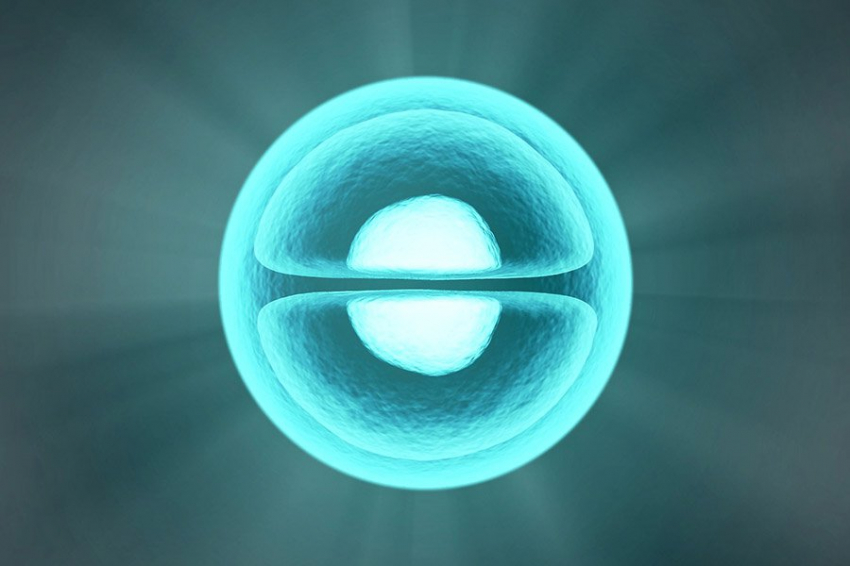 Исследователи обнаружили механизм омоложения у одноклеточных организмов