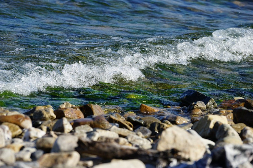 В водах Байкала выявлены следы различных антибиотиков