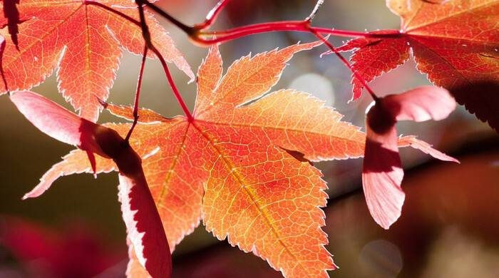 Важные и запретные дела по старинным приметам в праздник 7 сентября 2024 года