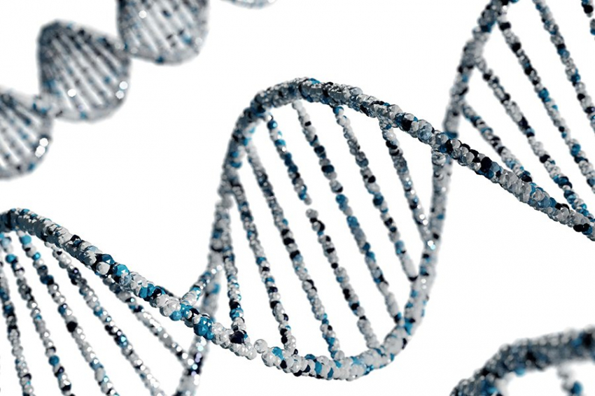 NG: клетки используют альтернативный сплайсинг для регуляции экспрессии генов