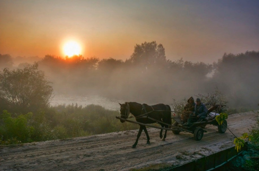 О чем предупреждают поверья и приметы на Агафона Огуменника, 4 сентября 2024 года