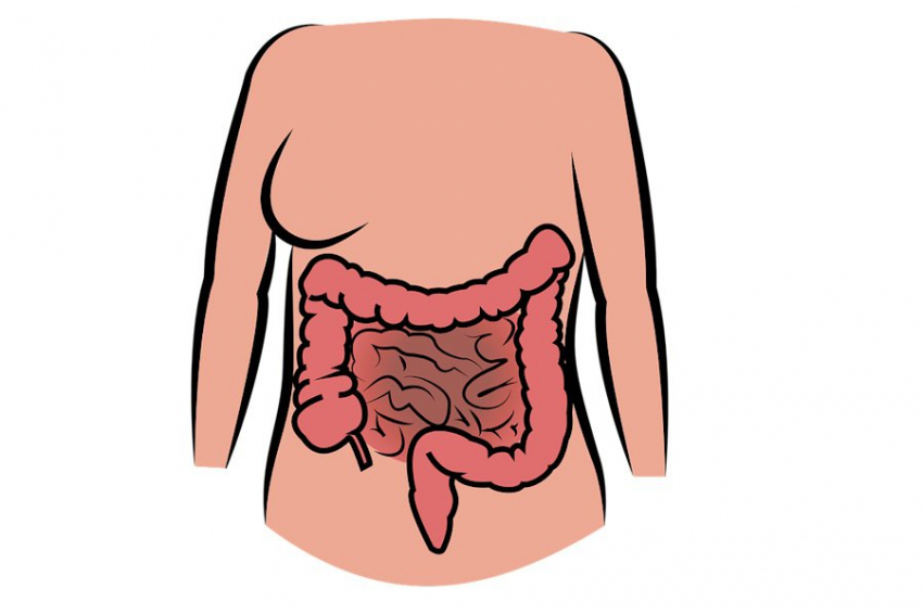 Тиамин меняет микробиоту кишечников у пациентов с ВЗК