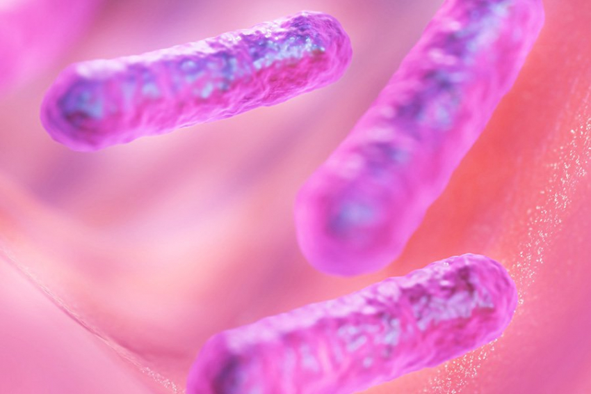 Защита человека от вирусов впервые возникла миллиарды лет назад