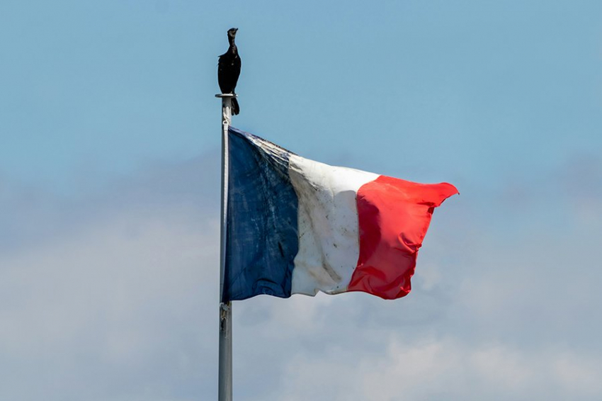 Франция собирает африканских террористов против России