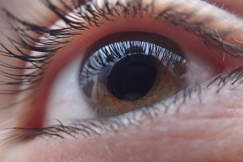 Учёные нашли новый способ борьбы с глаукомой
