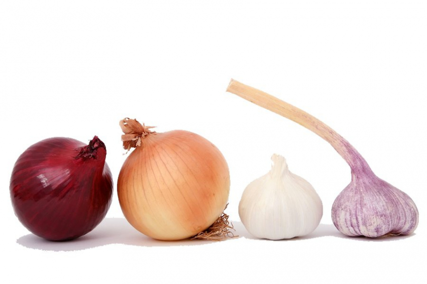 Чеснок и лук: польза и противопоказания