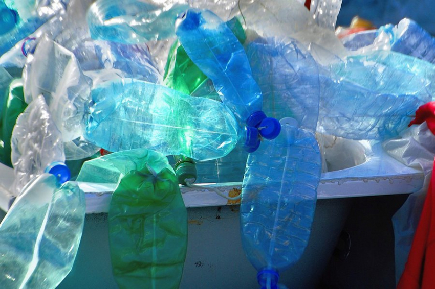 Ученые бьют тревогу: микропластик требует глобальных мер