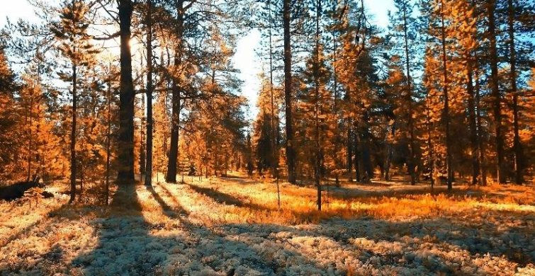 Что можно и нельзя делать по народным приметам в праздники 11 октября 2024 года