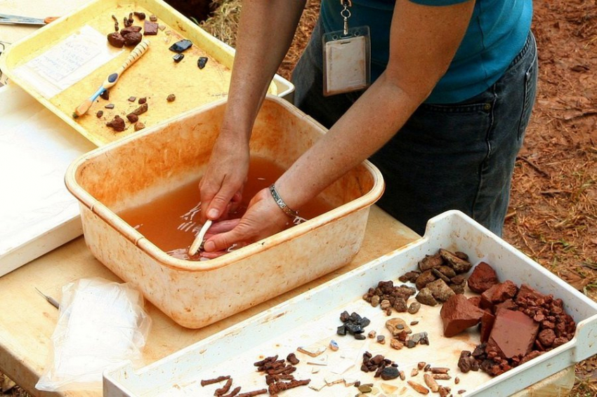 Зуб времени: уникальная находка археологов на Ямале