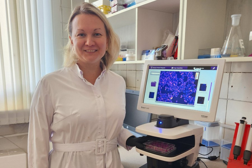 Токсин из кокосовых орехов спас клетки сосудов от гибели из-за избытка жиров