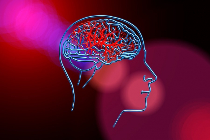 Ученые впервые обнаружили пути очистки мозга от отходов