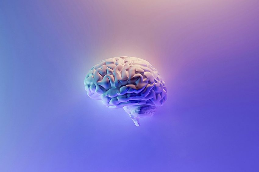 Ученые обнаружили связь между эволюцией мозга и нарушениями развития