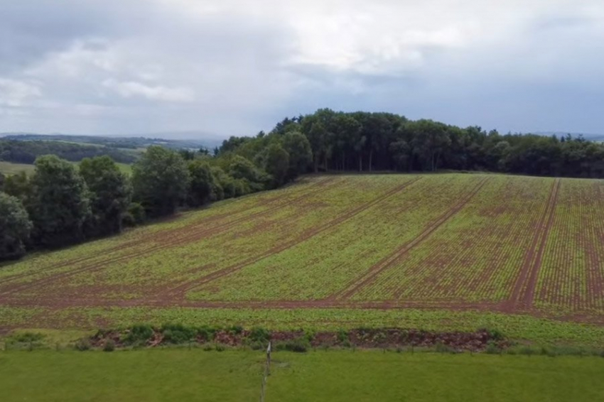 В Нидерландах волонтеры нашли 1000 ранее неизвестных доисторических курганов