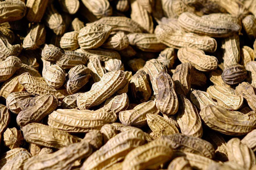 Ученые связали загрязнение воздуха с аллергией на арахис в детстве