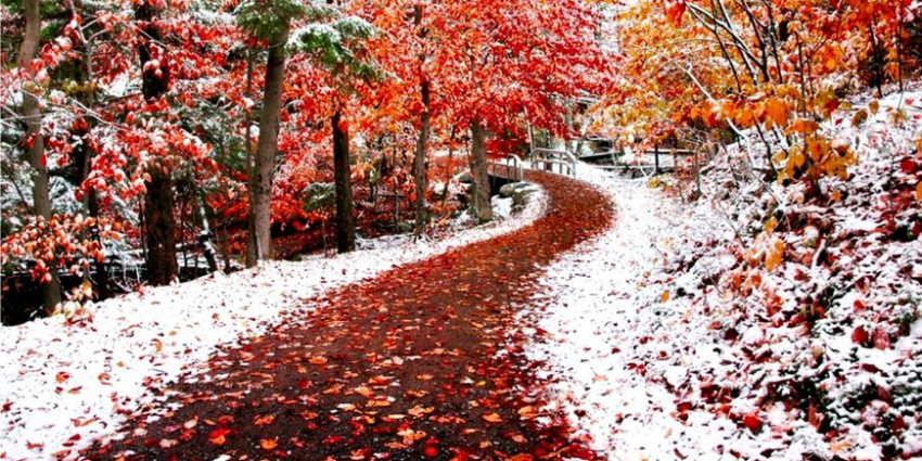 Проводы осени или Иванов день 1 ноября: какой будет зима по народным приметам