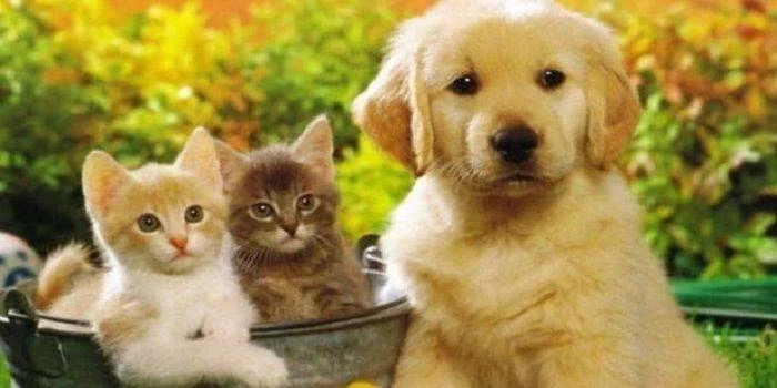 Какой праздник сегодня 30 ноября 2024 года будут отмечать в России и в мире