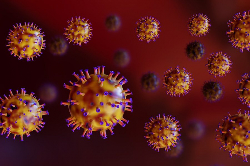 Ученые нашли ключ к защите от потенциально опасных артеривирусов