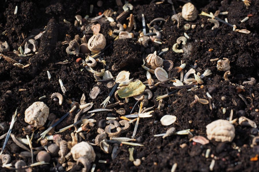 Биоволокна могут представлять большую угрозу окружающей среде, чем пластик