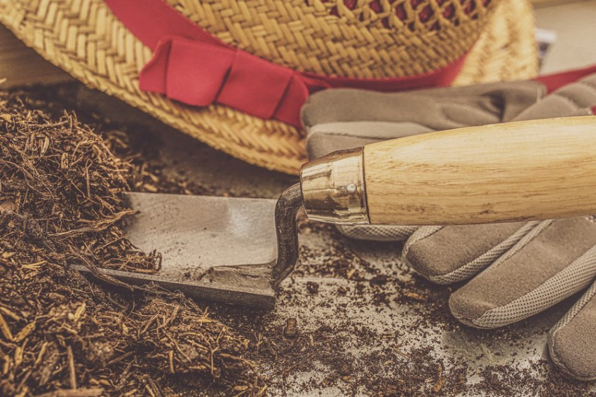 Подготовка почвы к зиме: эффективные способы обработки