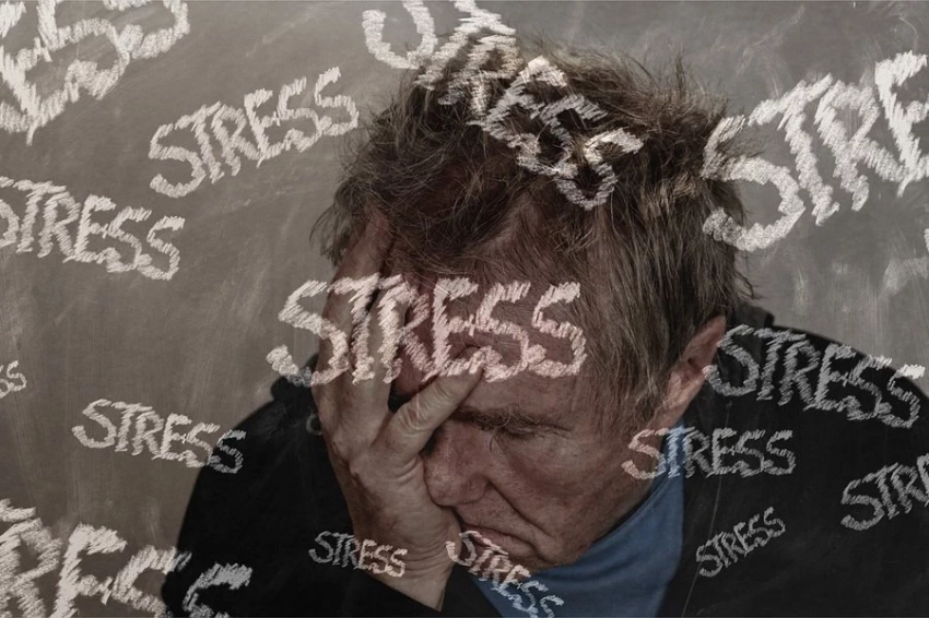 Ученые обнаружили эффект "заражения" стрессовым состоянием