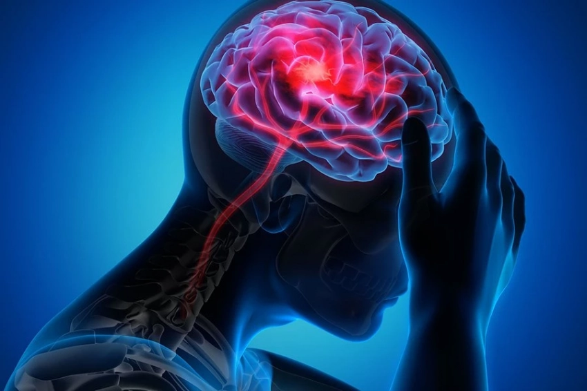 Как алкоголь влияет на старение мозга: результаты исследования