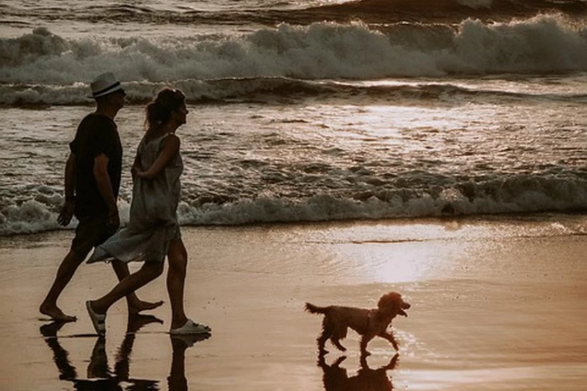 Ученые определили идеальное количество шагов для здоровья сердца