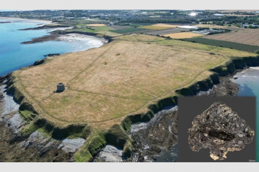 Находка 2000-летнего инжира открывает новую главу в истории Ирландии