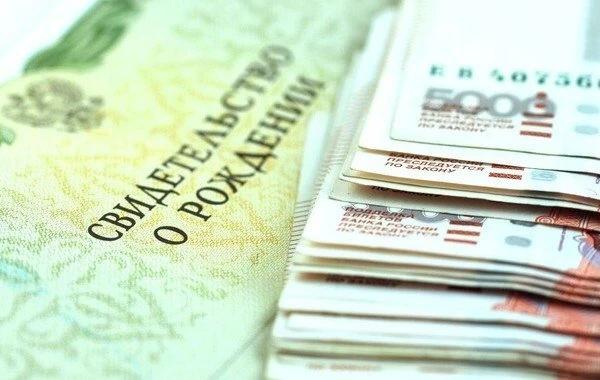 В МВД России назвали ущерб от хищений маткапитала на неродившихся детей