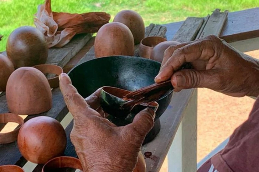 Тыквы из Амазонии в XVIII веке поставлялись в Европу на рынок предметов роскоши 