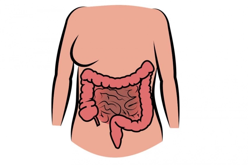 Три продукта против токсинов: правильное питание может защитить вас от рака