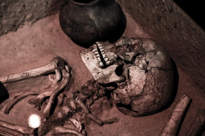Тайник с черепами каменного века озадачил археологов