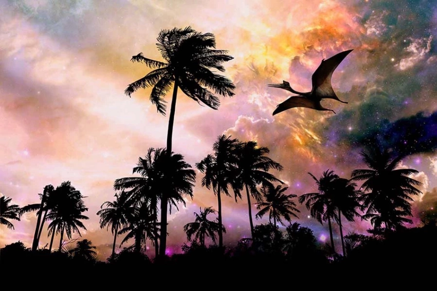 Палеонтологи идентифицировали почти 50 «скрытых» родственников птеродактиля