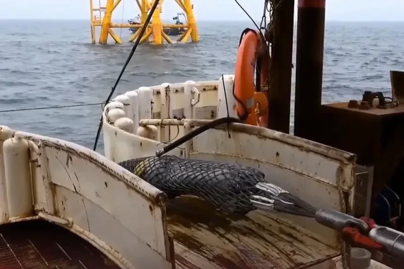 Правоохранители Швеции приступили к расследованию обрыва оптоволоконного кабеля на дне Балтики – как обычно, подозревается Россия