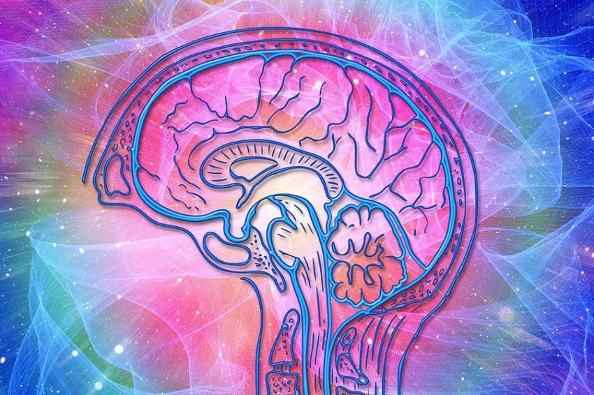 Исследователи выявили связь между заболеванием десен и функцией мозга