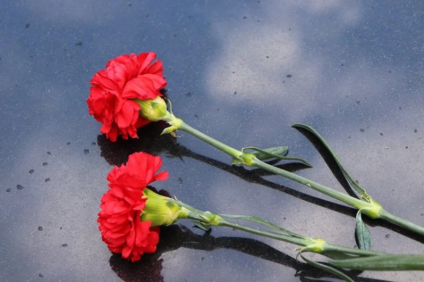 Неожиданная Япония: книга «Аллея ангелов» о геноциде киевского режима на Донбассе