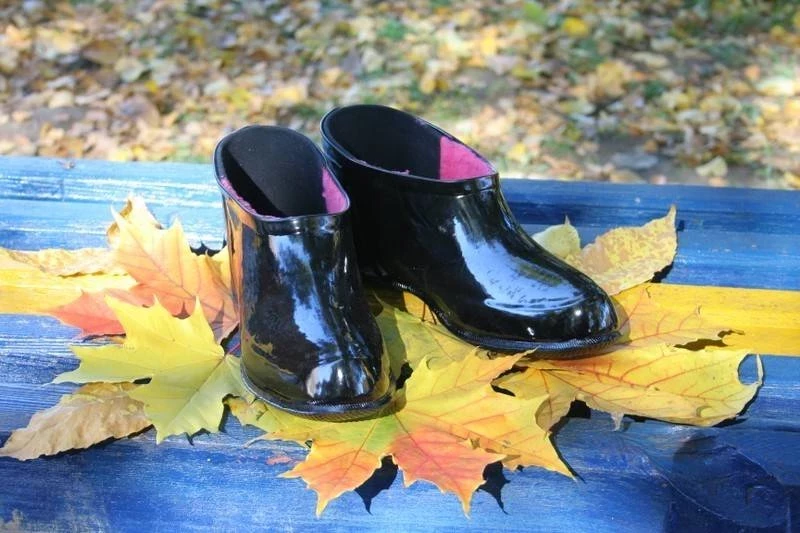 В День рождения резиновых калош 4 февраля 2025 года вспоминают об открытии великого изобретателя