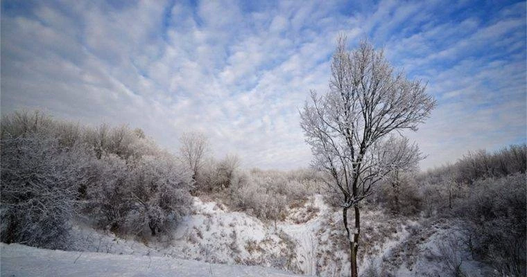 Поверья и приметы 4 февраля 2025 года связаны с Тимофеевым днем