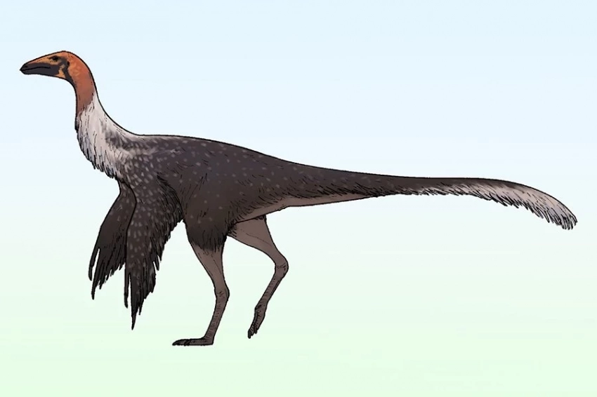 В Мексике обнаружен страусоподобный динозавр с удлиненными конечностями