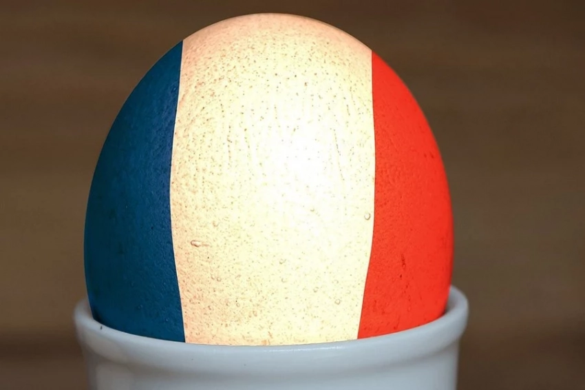 Макрон дал повод всем посмеяться над французским искусственным интеллектом