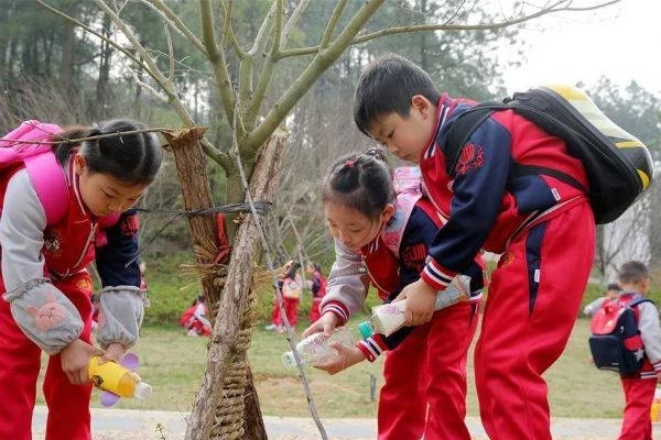 Какой сегодня праздник 12 марта 2025 года: события в России и других странах