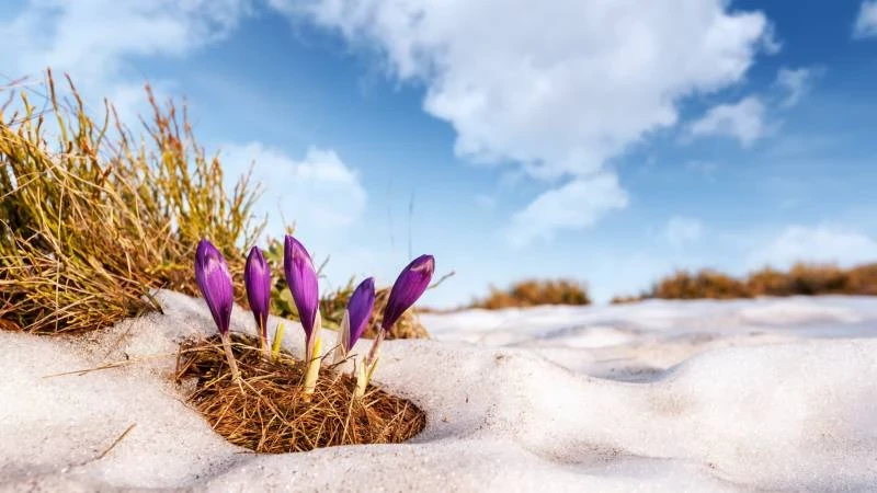 Приметы и поверья на сегодня 13 марта 2025 года помогут провести день правильно