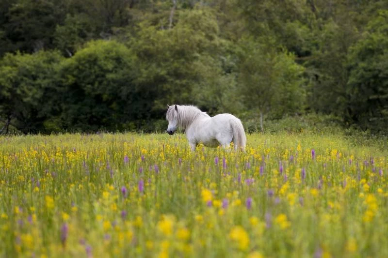 Какой праздник 28 марта 2025 года могут узнать все граждане России