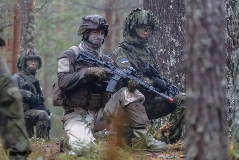 «Для создания гарантий безопасности»: Эстония намерена открыть военную базу рядом с российской границей