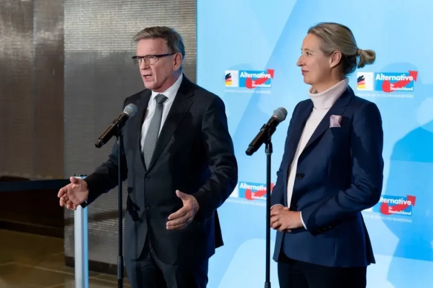 На заметку Мерцу: впервые в истории немецкая партия АдГ в рейтингах сравнялась с блоком ХДС и ХСС